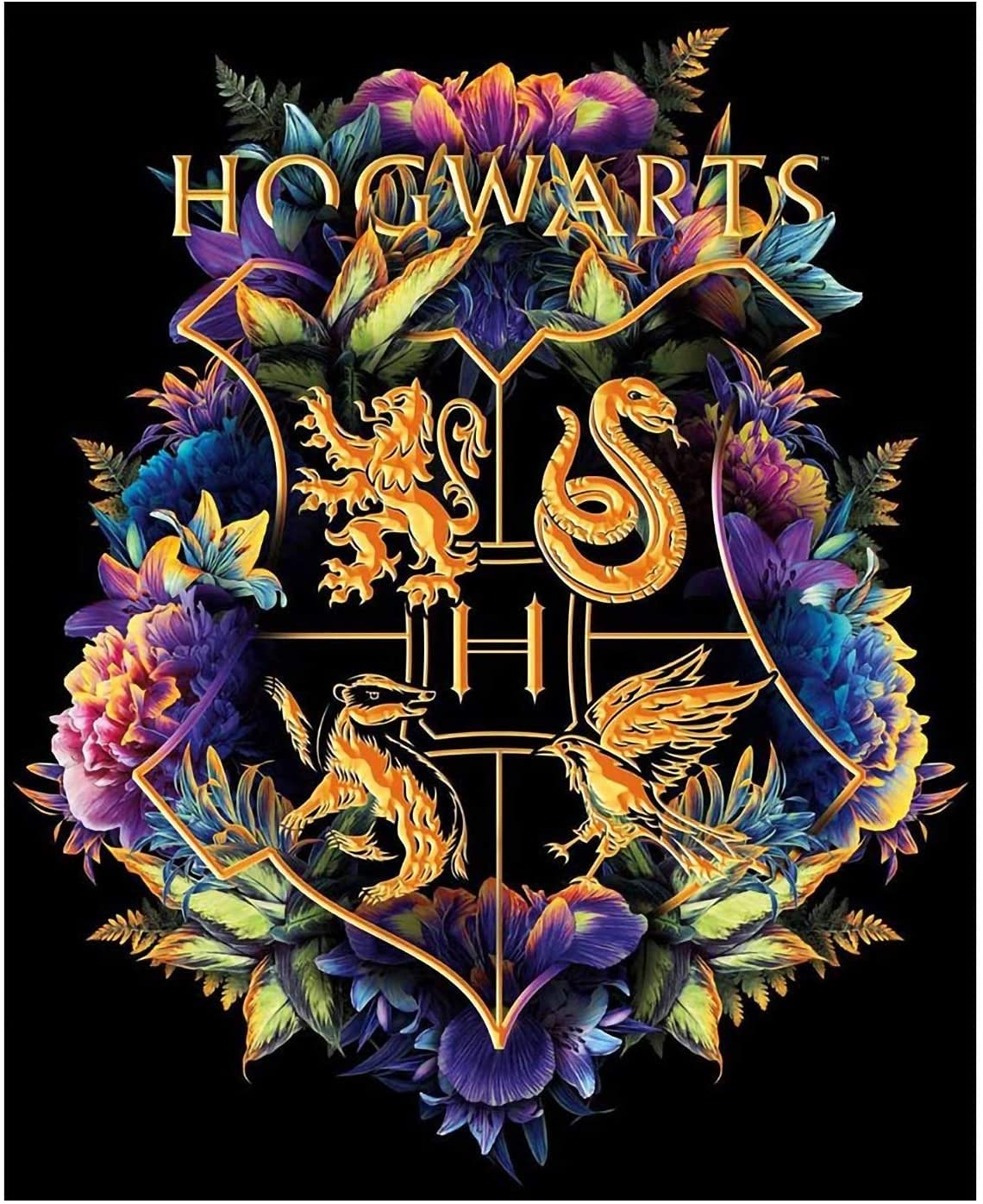HASTHIP 5D Full Drill Harry Potter Diamond Painting Rhinestone Embroidery Pictures for Adults and Kids for Home Wall Decor (Multicolour) HASTHIP 5D Full Drill Harry Potter Diamond Painting Rhinestone Embroidery Pictures for Adults and Kids for Home Wall Decor (Multicolour)